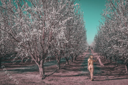 Full leaked Faerie private onlyfans photo