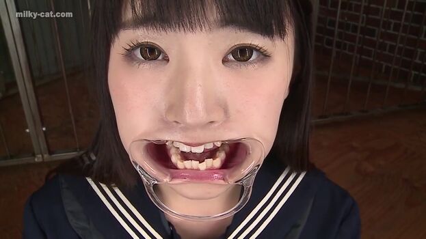 milky-cat