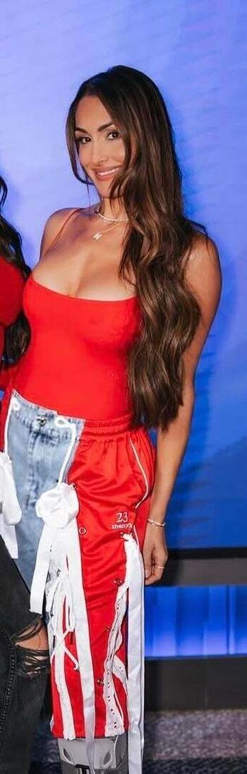 The Bella Twins